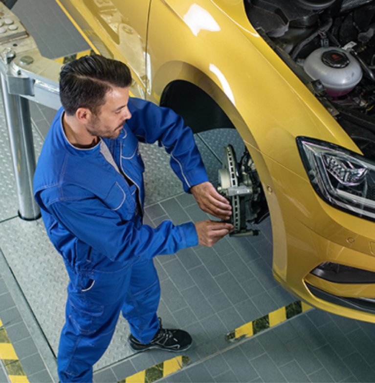 100+ Point<br />Dealer Inspection